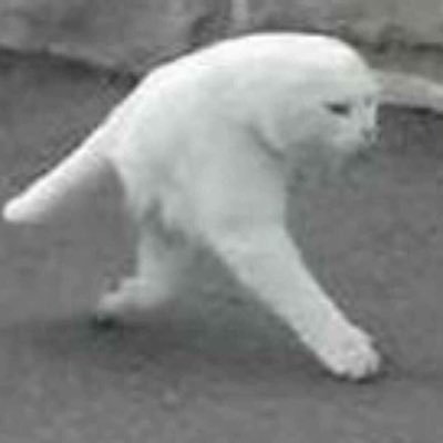 BusakJoe's profile picture. 