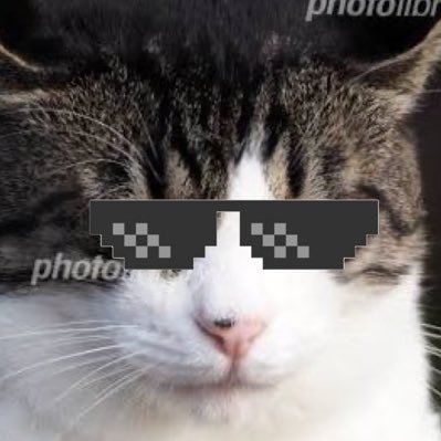 hotcaat1230 Profile Picture