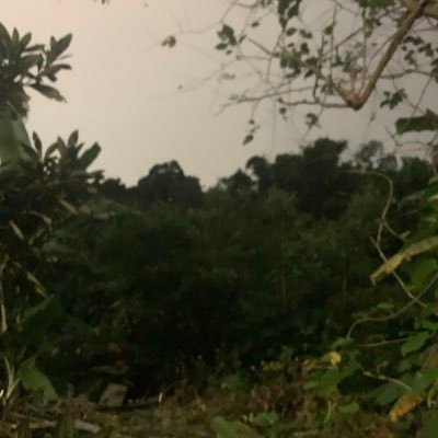 Sam06132594's profile picture. I started working construction at 16 and became a full time developer at 25, i love learning new tech and I strive to learn more about programming every day.