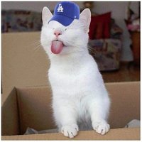 hopE🌊🌊💙 (@hopemckk) 's Twitter Profile