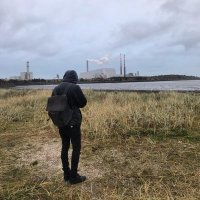 Giuliano Lovagnini (@craniperro) 's Twitter Profile