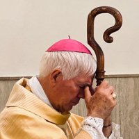Mons. Giovanni D'Ercole(@GiovanniDErcole) 's Twitter Profile Photo