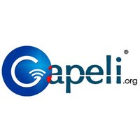 GAPELI(@Gapeli_) 's Twitter Profileg