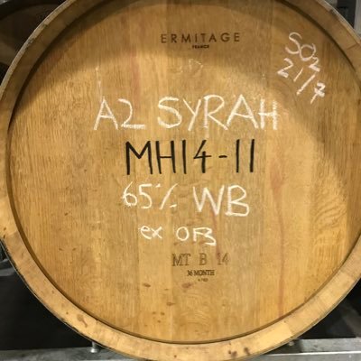 nickcodkay's profile picture. wiley veteran!