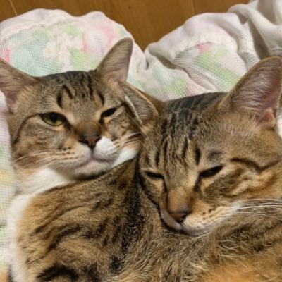 カランさんのプロフィール画像