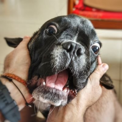 andrigrass's profile picture. 心如止水。。加油