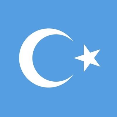 Father, PS designer,  warrior fighting for freedom of Uyghur and Independence of East Turkistan Speaks Uyghur, Chinese, English...