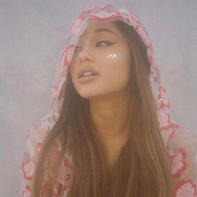 - she / her                                                               - @arianagrande ғᴀɴ ᴀᴄᴄᴏᴜɴt