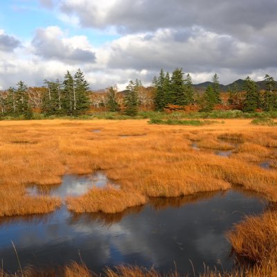 e7art's profile picture. 旅行，藝術，下廚