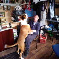 Stephen Bradbury (@stephenbradbury) 's Twitter Profile