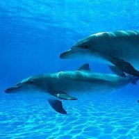 Seri (@seri26607553) Twitter profile photo