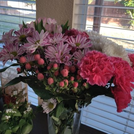 Peaceloveunit15's profile picture. peaceloveunity