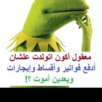 نوسه (@ud2zgytcyacbjru) Twitter profile photo