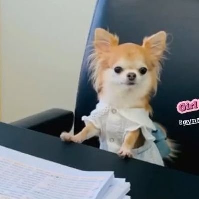 เมนน้องวิน เอ็นดูว~~วว ต้าวไบ๊