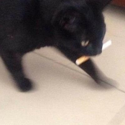 RFさんのプロフィール画像