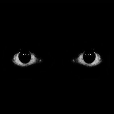 Mr_Padini's profile picture. 