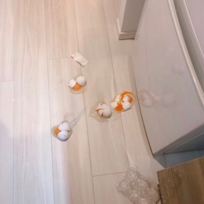 しゅうし