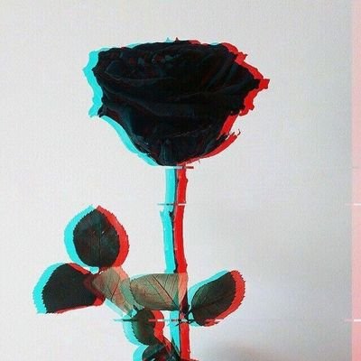 Sayuri_MCV's profile picture. 🖤🖤🖤