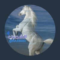 نواف الشمري (@na55000) 's Twitter Profile Photo نواف الشمري (@na55000) 's Twitter Profile Photo