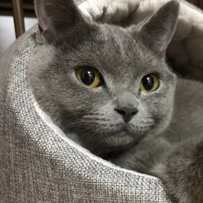 ゆ た そ 軽 にホワイトタイガー 田中圭 のかわいいところだけ繋げてみた そしたらもっとかわいいくて困ってる ぐるナイ ゴチになります ゴチ新メンバー ゆ た そ 軽 にホワイトタイガー 田中圭 のかわいいところだけ繋げてみた そしたらもっとかわいいくて困ってる ぐるナイ ゴチになります ゴチ新メンバー