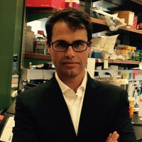Adolfo Ferrando (@adolfo_ferrando) 's Twitter Profile