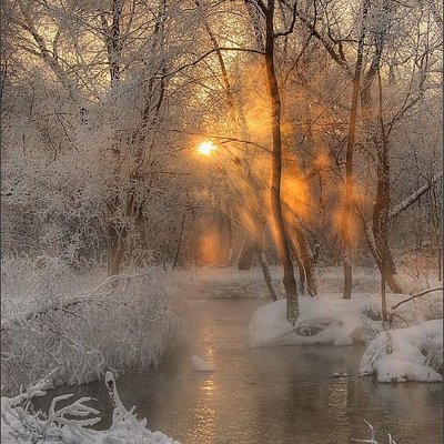 Is this the winter of my discontent. No, I will continue to live my life as if the govt is just a distraction.