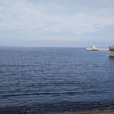 oUHjqG1lAP64XDm's profile picture. 初老。