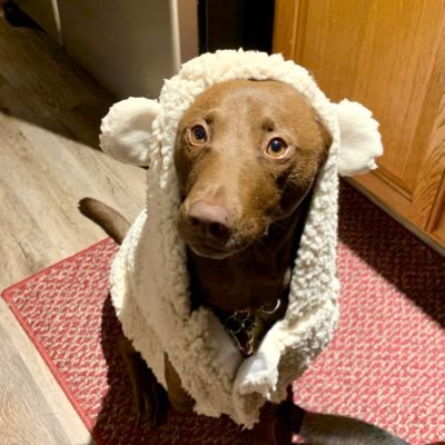 MichelleNazare's profile picture. 