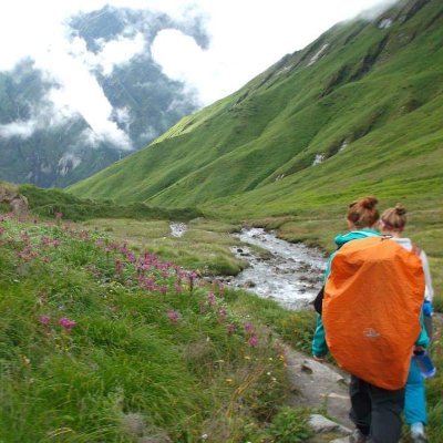 CarleyNormandy's profile picture. she/her