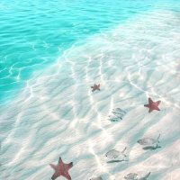 Ghenwa (@ghenwaeleteby) 's Twitter Profile