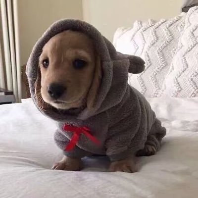 sk14142305's profile picture. 找精牛