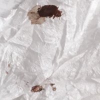 Hilton bedbugs (@hiltonbedbugs) 's Twitter Profile