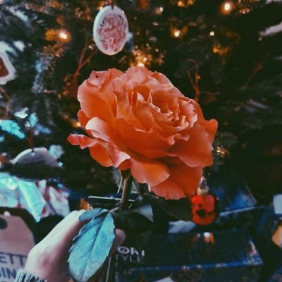 creativefun16's profile picture. 