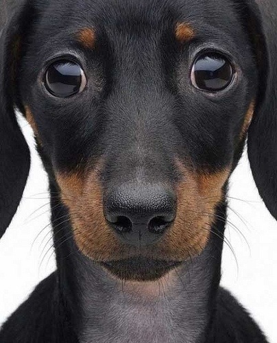 smartarse999's profile picture. freelance food and wine editor, creative writing teacher, songwriter, singer and MC who never, ever writes 'stunning' unless it relates to bricks.