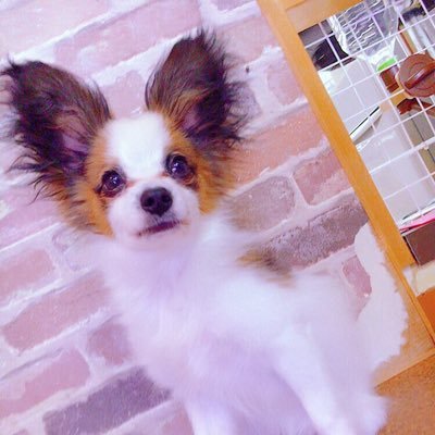 名無しのばーーんさんのプロフィール画像