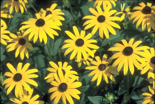 khlprova207's profile picture. 