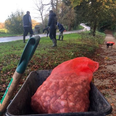 BryPioneering's profile picture. Pioneering at Bryanston is an opportunity to give something back to the local community. Pupils engage in an environment they can learn and develop from.