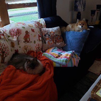 I'm blue all the way, and want to meet others who are like minded. 🌊
I love to cook, bake and exercise I love fencing! Animal lover. Please adopt!🐈🐕🦺