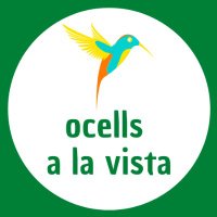 ocells a la vista (@ocellsalavista) 's Twitter Profile