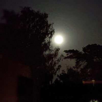 twigglettchic's profile picture.