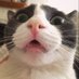 HobbesBae (@paterpapito) Twitter profile photo HobbesBae (@paterpapito) Twitter profile photo