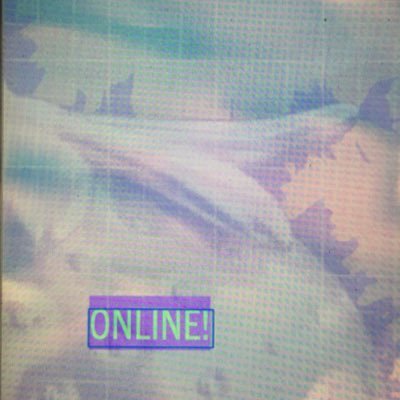 noa86141726's profile picture. 