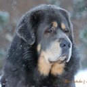 Julia Andreeva - @JuliaAndreeva2 - Twitter