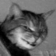 tetrixwastaken's profile picture. No le entiendo al humor de la chavalada actual.