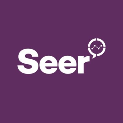 Seer Data Analytics Profile