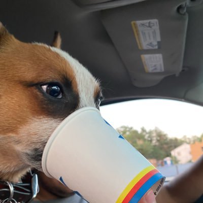 david_aguirre36's profile picture. 