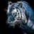 merictanzer's profile image