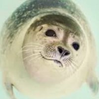NeutralObserver (@bsobserver) 's Twitter Profile