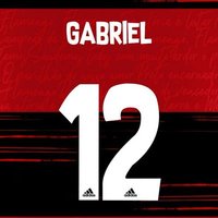 Gabriel Quintas (@gabrielquin2010) 's Twitter Profile