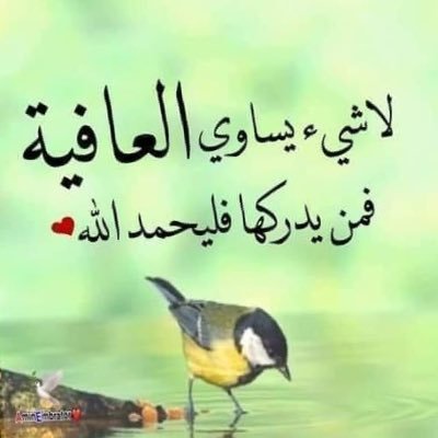 ShaficiAbuRamla's profile picture. Aduun wayne